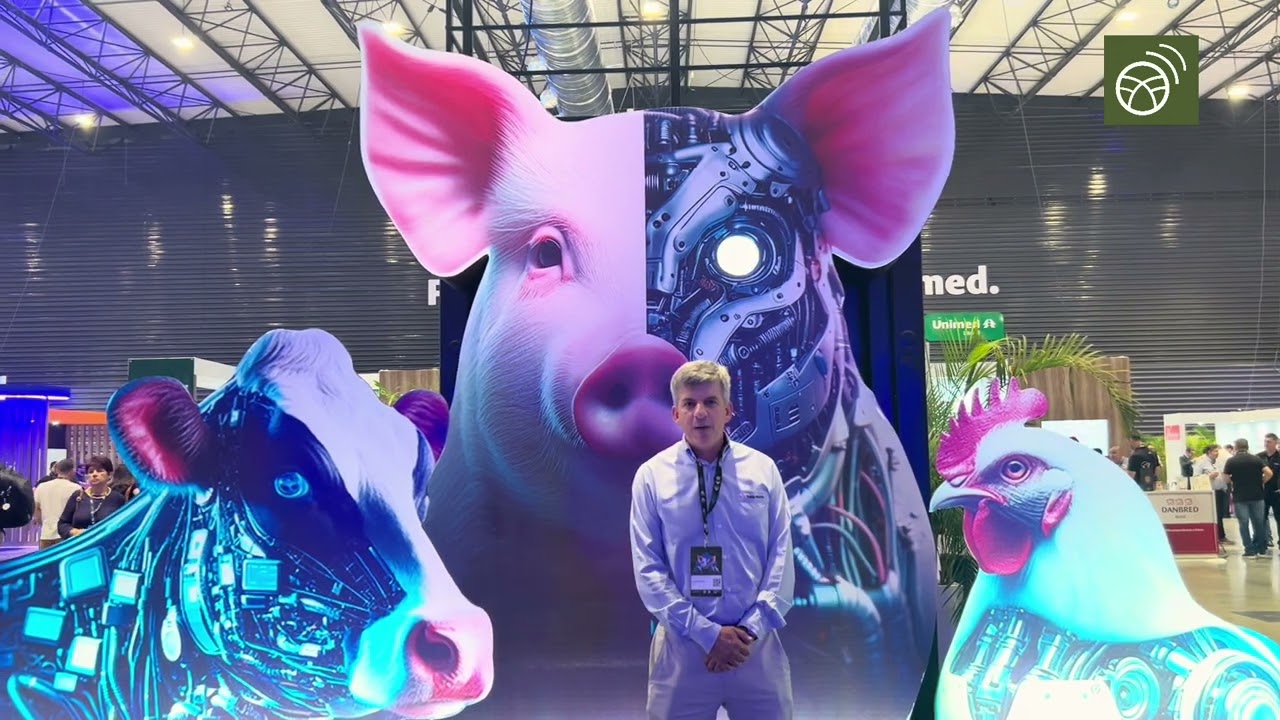 Topigs Norsvin no Agriness Next 2025