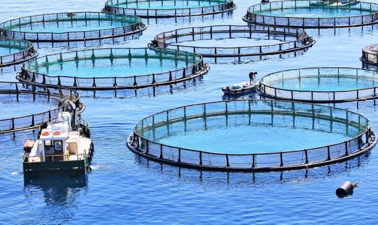 aquicultura