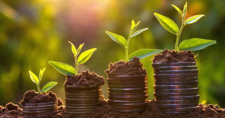 SAA libera crédito de R$ 14 mi para produtores de SP