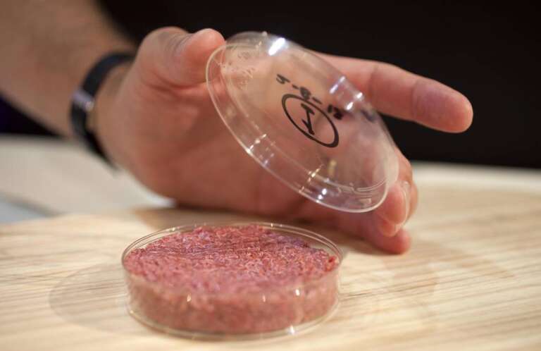 A carne sintética é uma ameaça à pecuária?