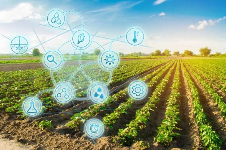 Logística e economia são desafios para o Agro BR