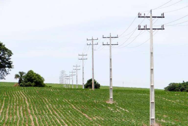Energia em meio rural volta a ter descontos