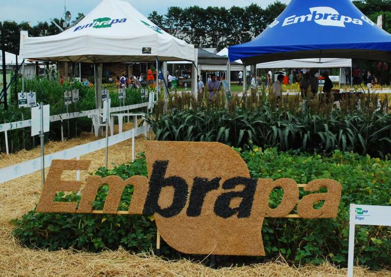 Agricultura nacional atrai Emirados Árabes