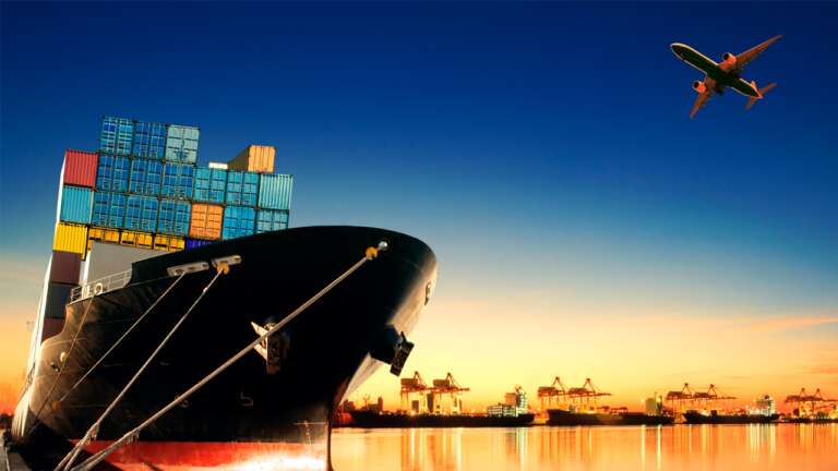Camarões abre mercado para genética avícola brasileira