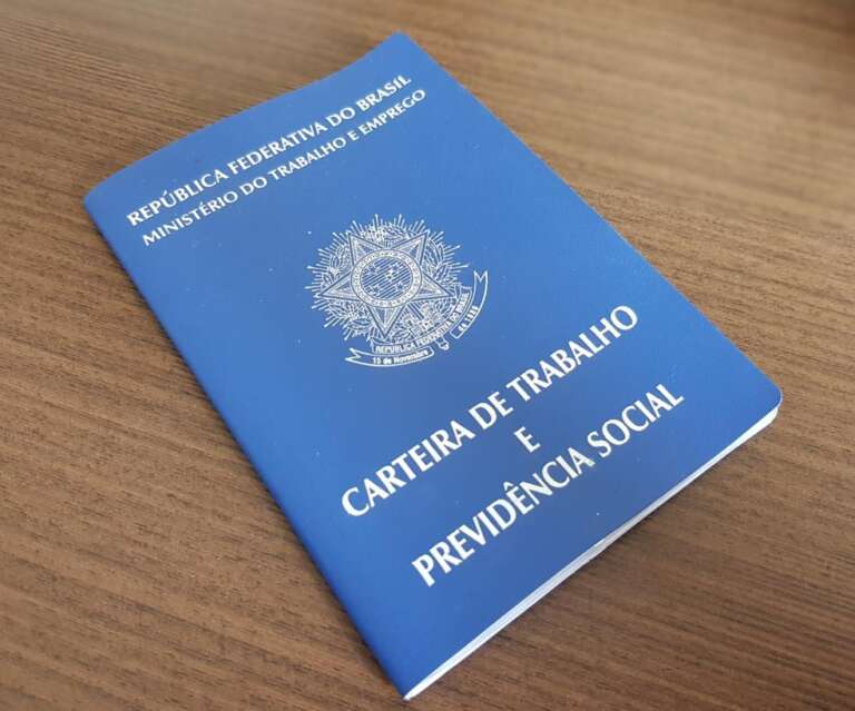 Agropecuária lidera geração de empregos