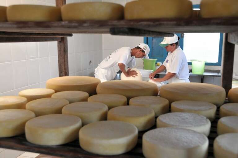 Queijo