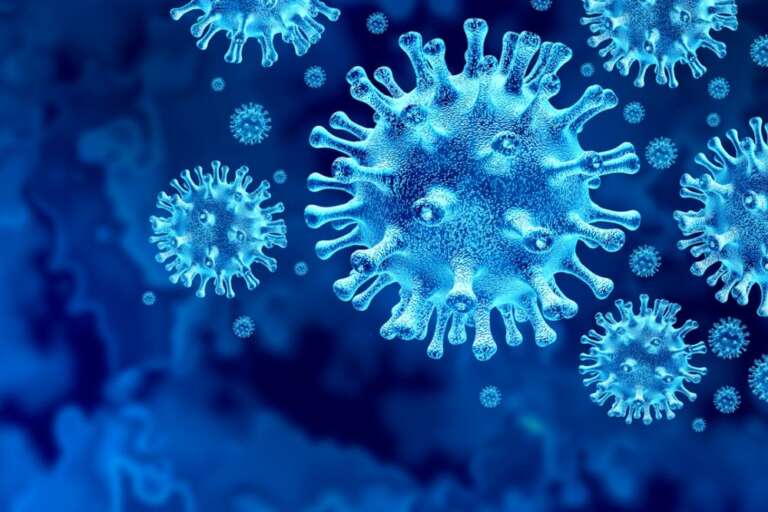 Boletim epidemiológico traça histórico da Influenza Aviária em São Paulo e reforça eficácia das medidas de controle