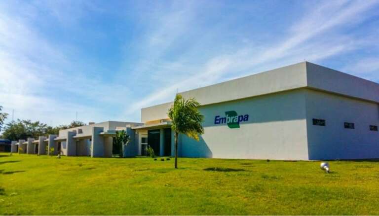 Embrapa completa 48 anos nesta segunda-feira