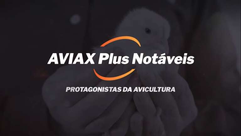 Phibro Saúde Animal lança série “Aviax Plus – Notáveis”