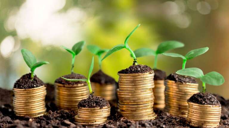 Agropecuária: PIB apresenta alta de 5,7%