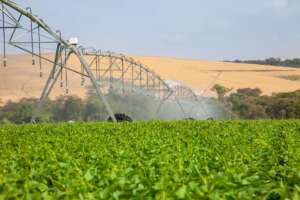 agricultura irrigada