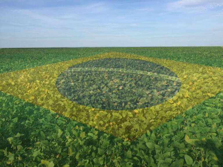 Brasil segue em destaque na produção de alimentos