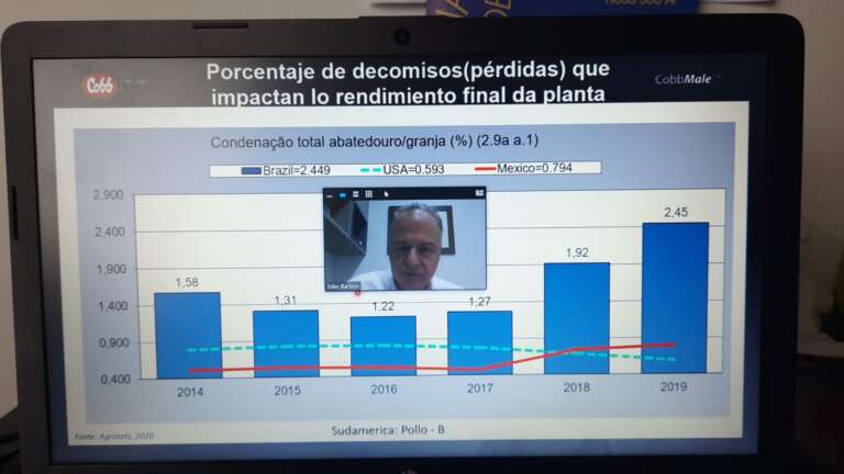 Cobb mantém serviço de excelência durante pandemia