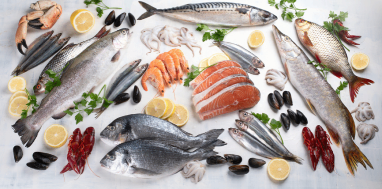 Adesão de pescado no Brasil exige apoio governamental e profissionalização do setor