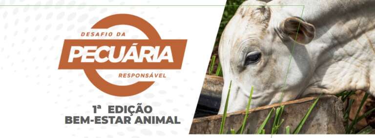 “Desafio da Pecuária Responsável” premiará boas ideias