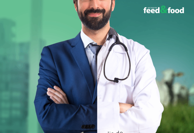 Medicina veterinária abrange mais de 80 áreas de atuação