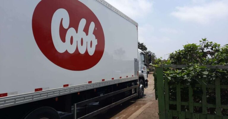 Cobb-Vantress anuncia Danillo Petinelli como gerente regional para Goiás, Minas Gerais e Rio de Janeiro