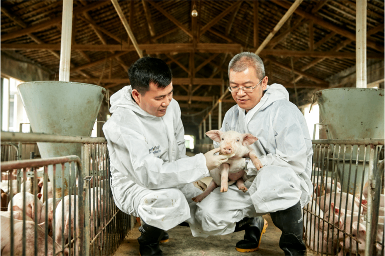 Boehringer Ingelheim é certificada por bem-estar animal