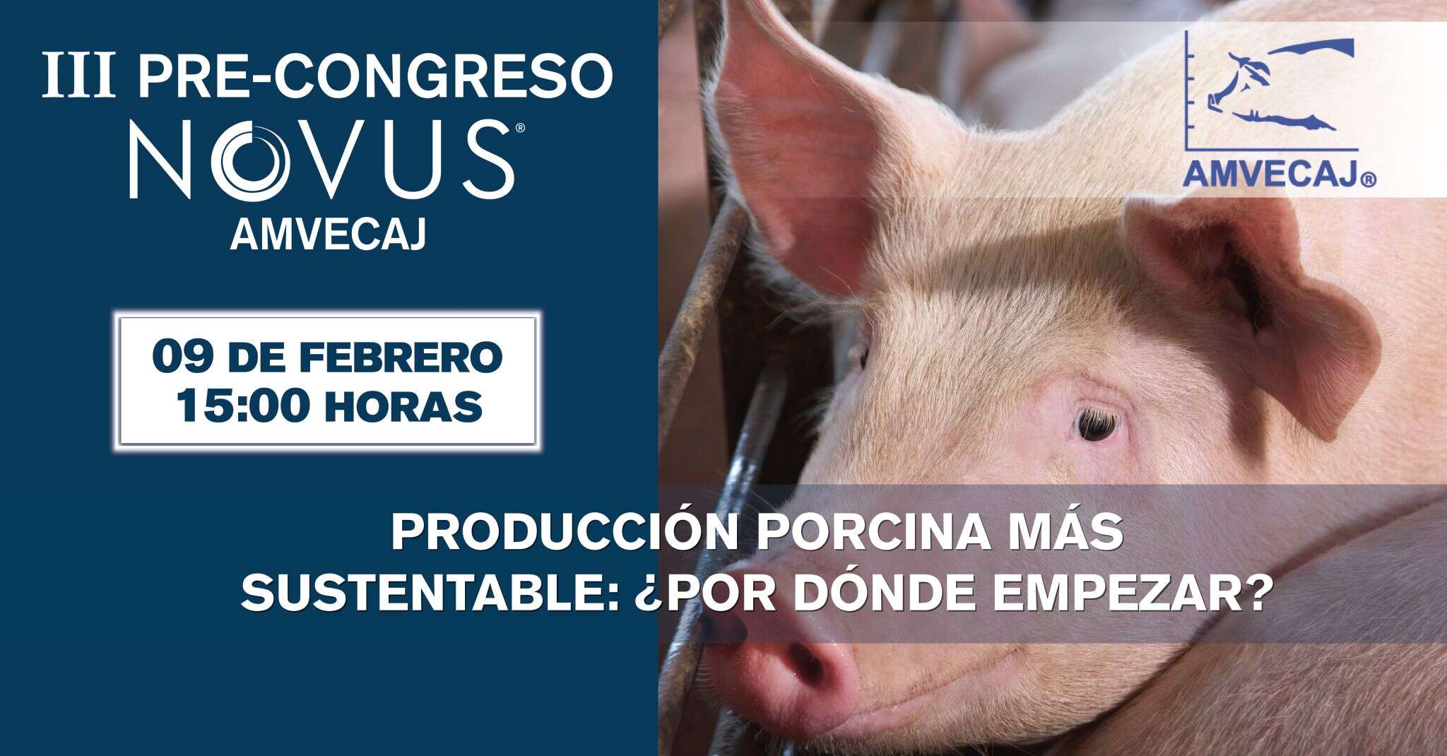 III Pre Congreso Novus AMVECAJ 2022