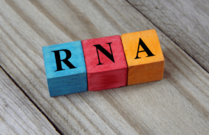 RNA