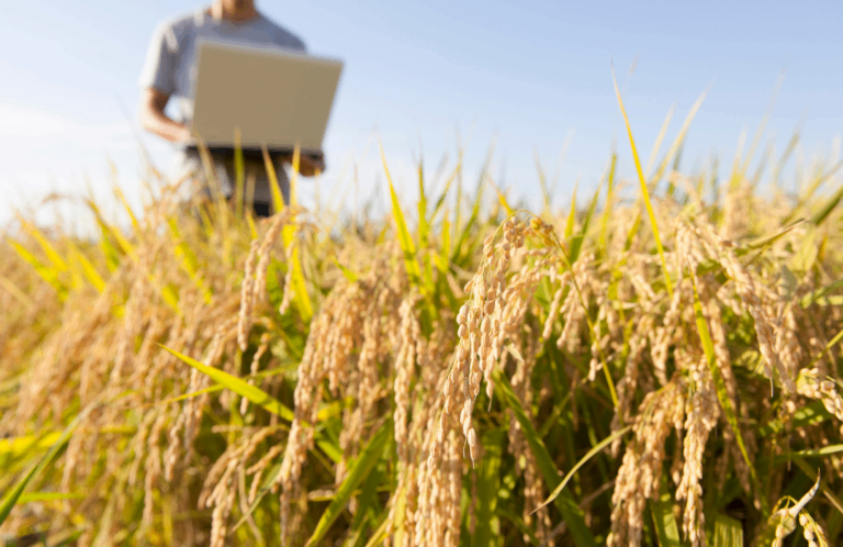 cursos agro