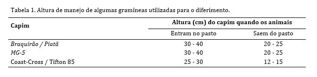 TABELA 01