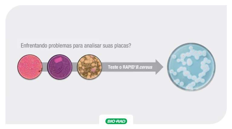 Imagem publicacao RAPIDB.cereus