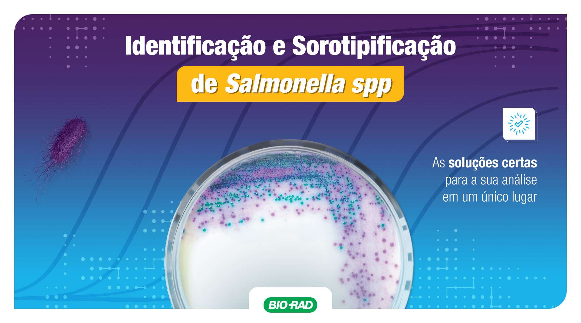 FSD Webinar 2 IMG 02 PortalFeedFood v2