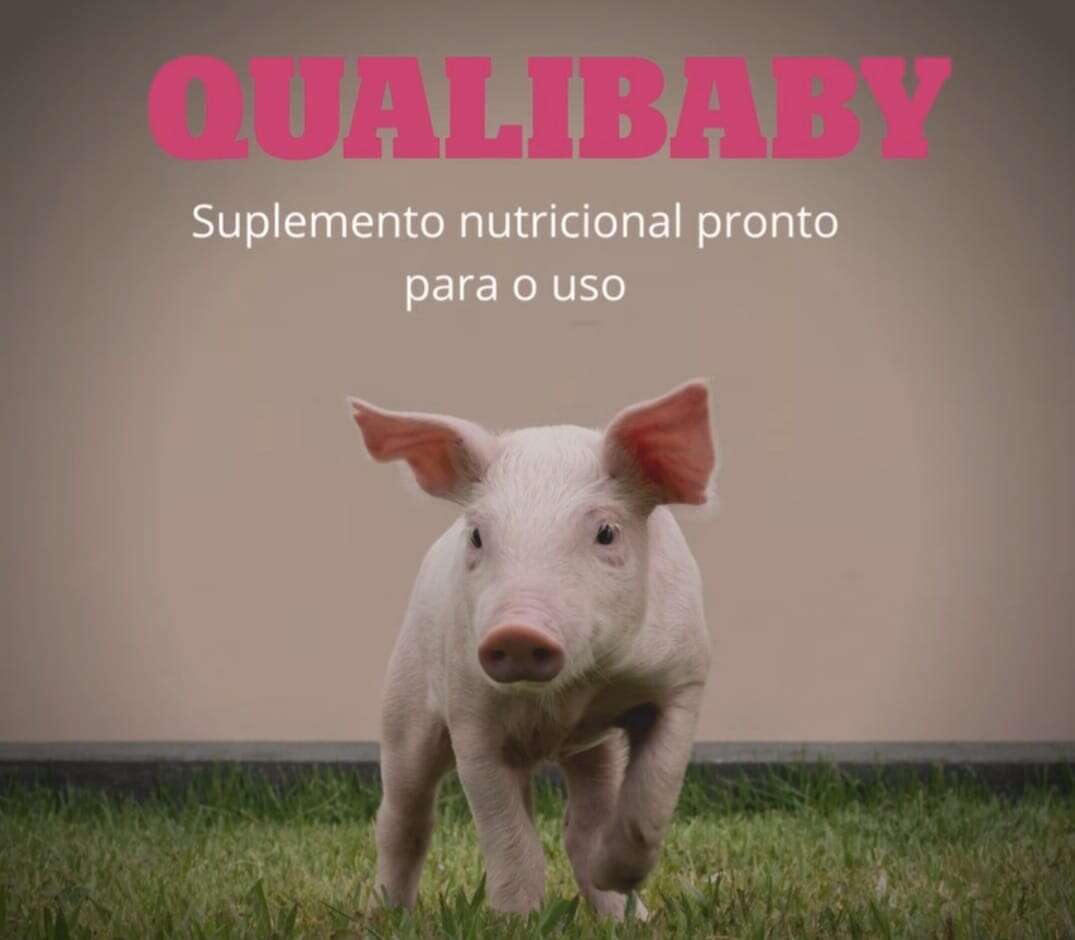 IMAGEM QUALIBABY 1