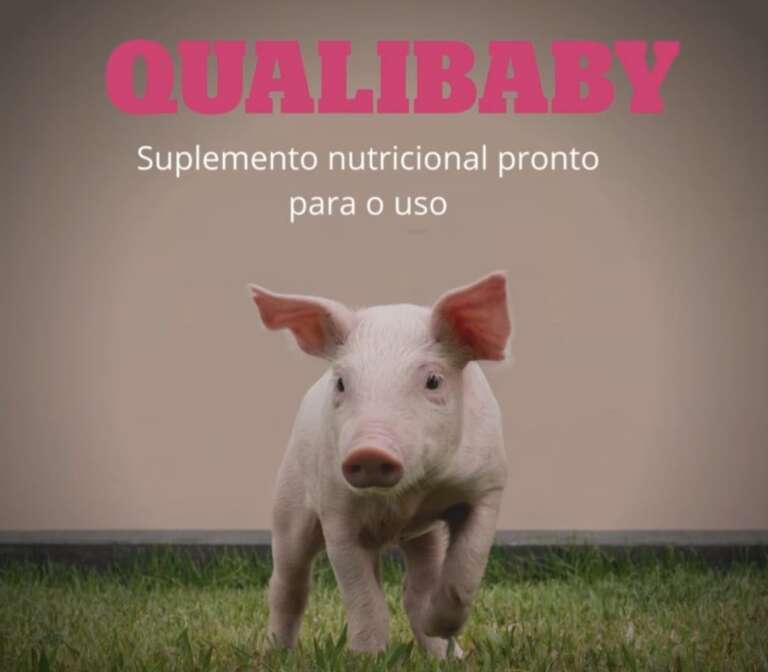 IMAGEM QUALIBABY 1