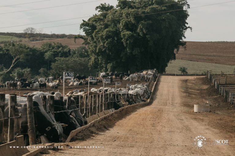 Infraestrutura e participação feminina marcam primeira rota do Confina Brasil