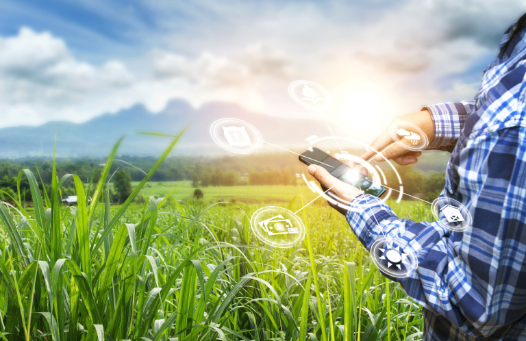Soluções de conectividade para agropecuária são apresentadas