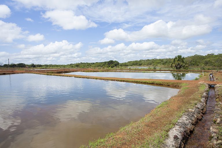 Mapeamento mostra viveiros de produção aquícola do Paraná