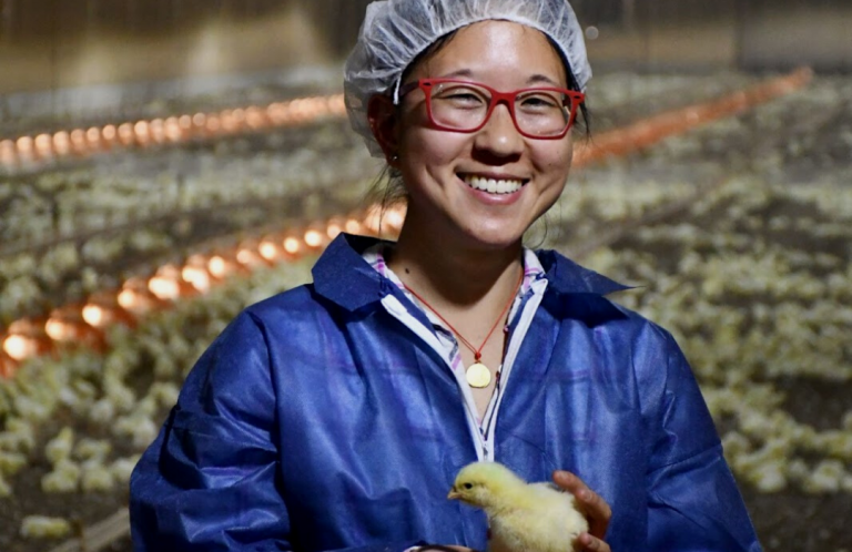 Simpósio ACAV fará abordagem científica da avicultura industrial