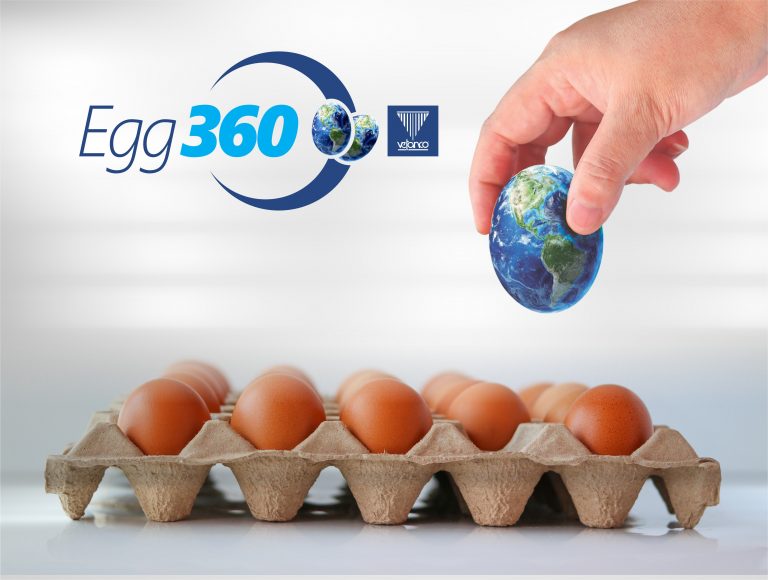 Vetanco encerra a primeira rodada do Clube 360