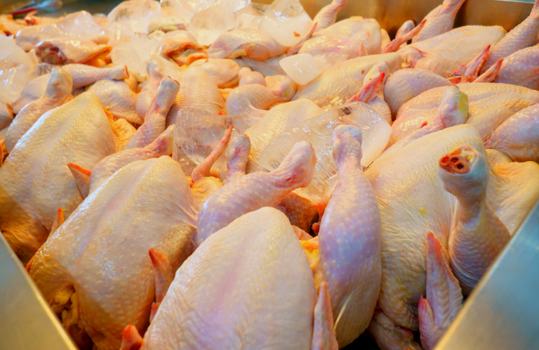 Receita de exportação de frango para Singapura cresce 80%