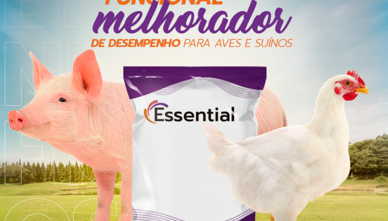 Essential se destaca como melhorador de desempenho natural para aves e suínos