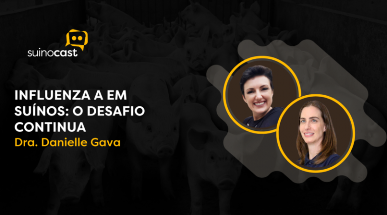 Podcast aborda Influenza A na suinocultura