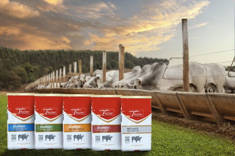 Aditivos nutricionais contribuem para redução de GEE