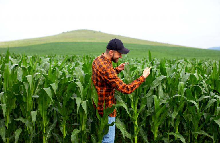 Agricultores têm alternativas de defensivos de baixo impacto
