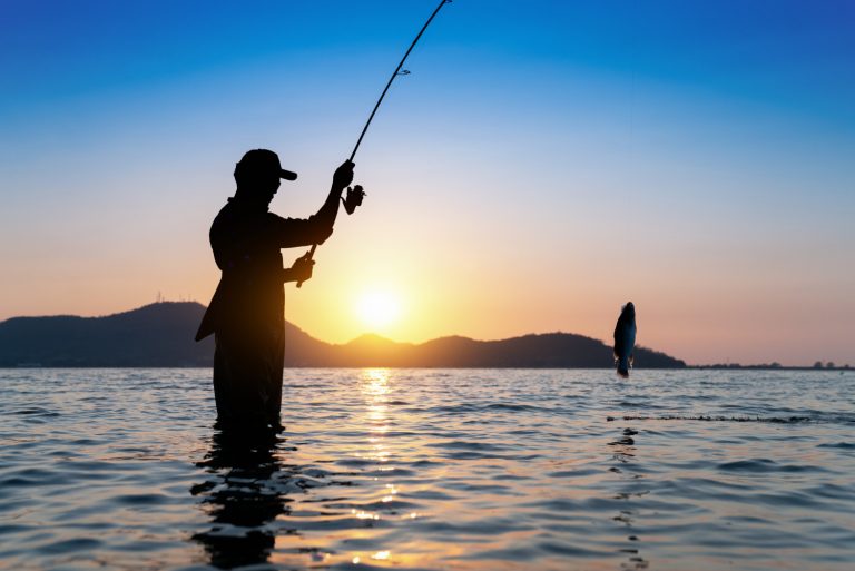 Oceana mostra necessidade de atualizar Lei da Pesca