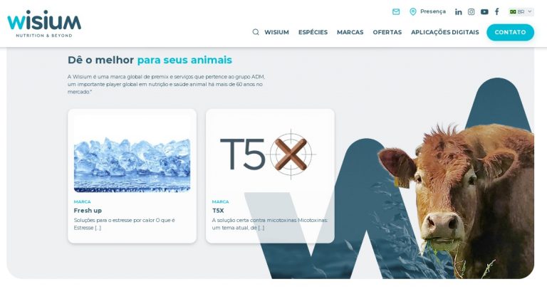 Wisium potencializa comunicação digital com novo site
