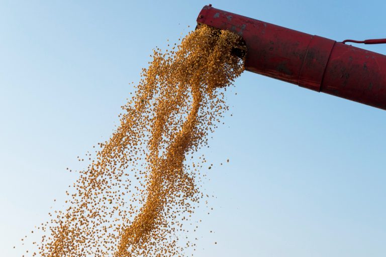 Brasil enfrenta gargalo logístico no armazenamento de grãos