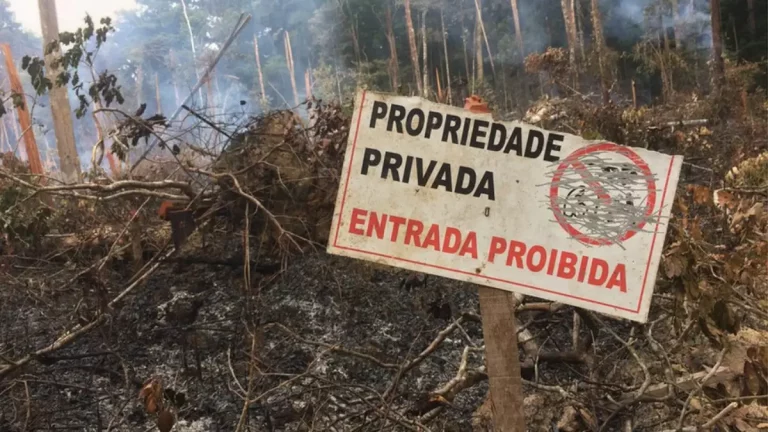 Liminar no STF busca impedir invasões de terras