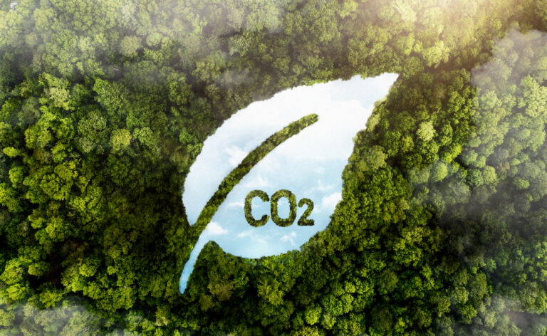 E-commerce da Minerva Foods é considerado carbono neutro 