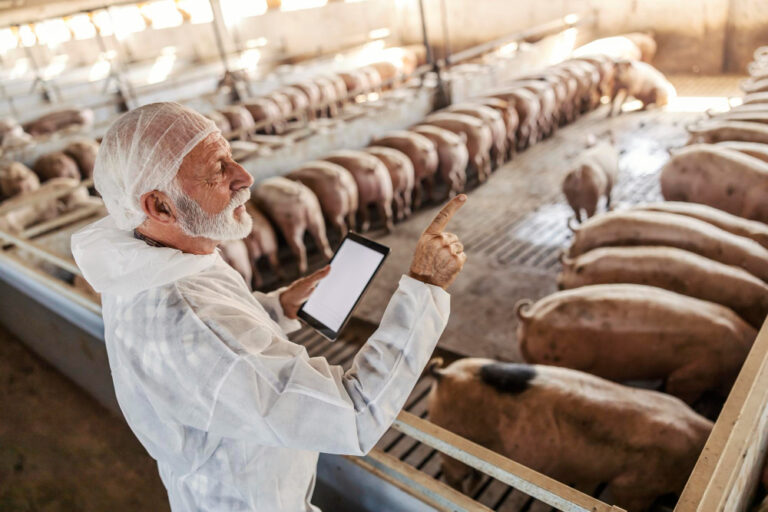 Cargill e Estrela Alimentos apostam em gestão de tempo real