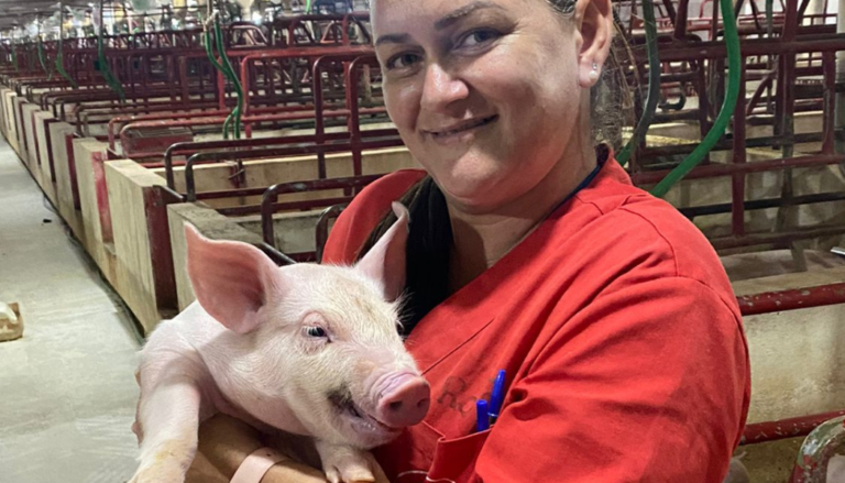 Topigs Norsvin conta histórias de suinocultores  