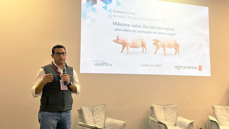 Agroceres PIC fala sobre valor de carcaça e qualidade da carne 