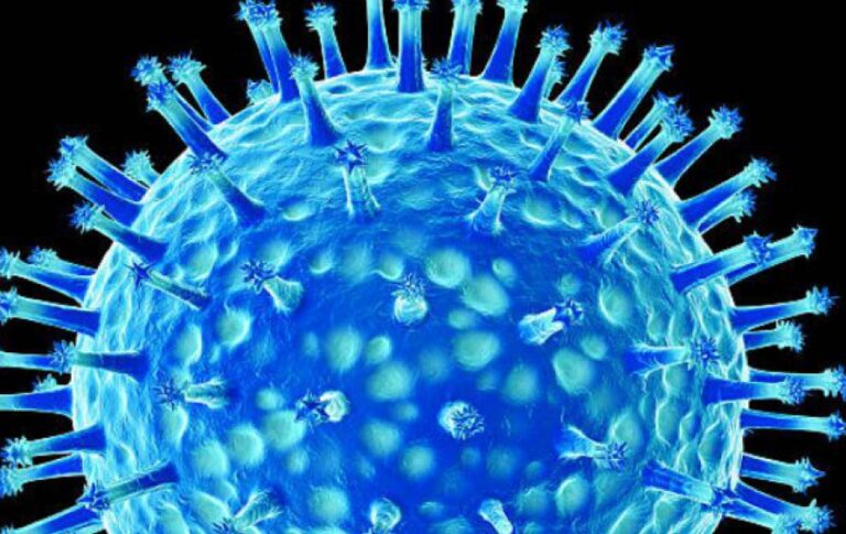 Sobe para 19 os casos de influenza aviária de alta patogenicidade