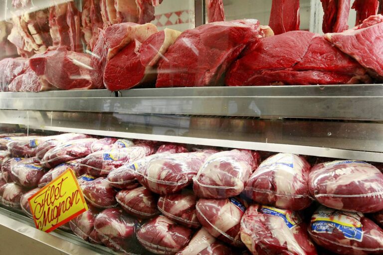 Empresas reafirmam compromisso com bem-estar animal